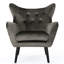 Élégant fauteuil en velours gris convenant à tout fauteuil en velours et à oreilles-283985414