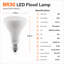 Ampoule DEL Euri Lighting BR30, 9 W, 810 lm, équivalent 65 W, 2700 K, culot E26, modulable, CEC/JA8, UL-136846392