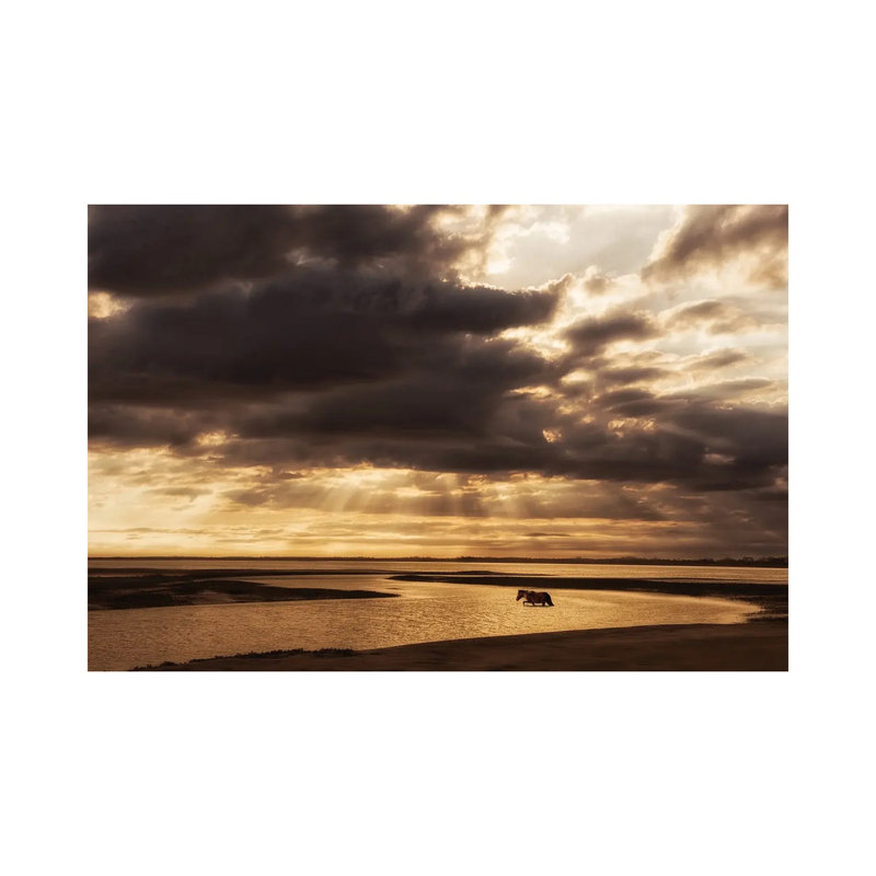 Water & Land IV by PHBurchett - Wrapped Canvas Painting, 20.32 cm H x 30.48 cm W