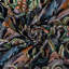Ardmore Velvet Fabric-1111131534