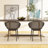 Indoor/Outdoor Lounge Chair Accent Chair (Set Of 2)-114219535