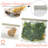 Jereme Food Storage Container