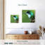 Colibri de Bramh
