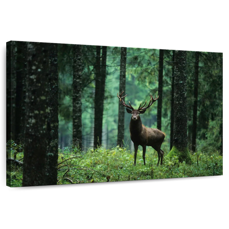 Crowle Mighty Forest Elk