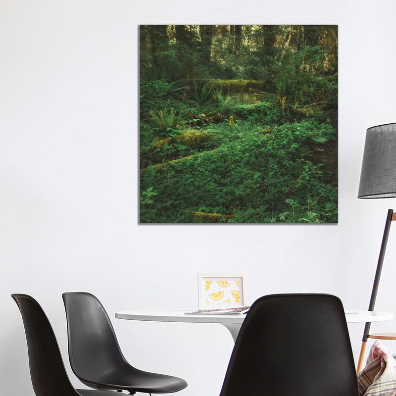 Olympic Rain Forest by Louis Ruth - No Frame Gallery-Wrapped Canvas Giclée on Canvas, 93.98cm H x 93.98cm W