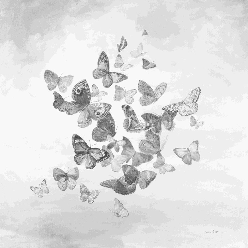 Beaux papillons en noir et blanc, H 12 po x l 12 po