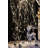 Dylan 150 - Bulb 5 in. Plug-in Fairy LED