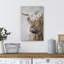 Highland Shetland, vache, animaux, nature, faune, paysage, portrait, décor, ferme, faune rustique-101091216-101091219