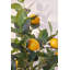 Citronnier artificiel 59 po en pot