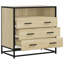 Stanely Metal Rectangle Accent Chest-965329104
