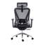 Chaise de bureau en maille avec appui-tête et soutien lombaire vraiment ergonomique, noir