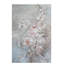 Blush Rose by Debi Coules - Painting on Canvas-112914926-56677691
