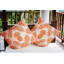 Coussin intérieur / extérieur Pineapple Leaves-1641408523-1641408522