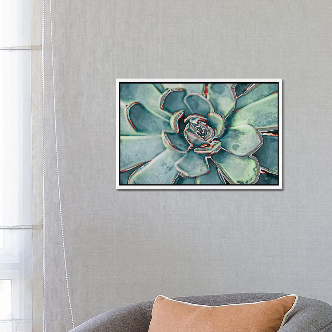 Teal Succulent von Susan Bryant - Galerie-verpackte Leinwand Giclée auf Leinwand