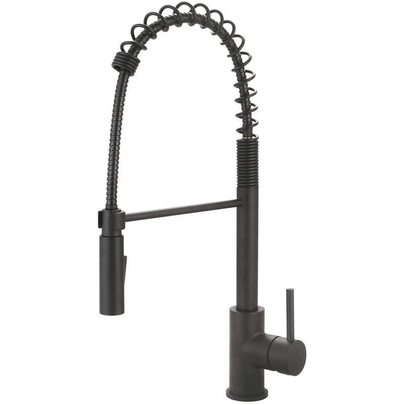 Pioneer Motegi Kitchen Faucet, Matte Black