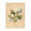 Art sur toile Danhui Nai-105629550