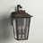 Mayhugh Wall Light
