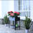 Raised Garden Bed