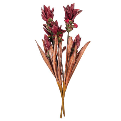 Tulip Arrangement