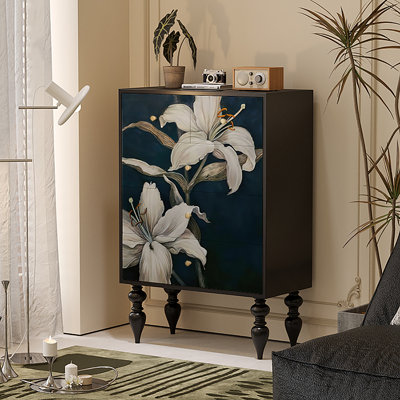 Armoire de rangement rétro