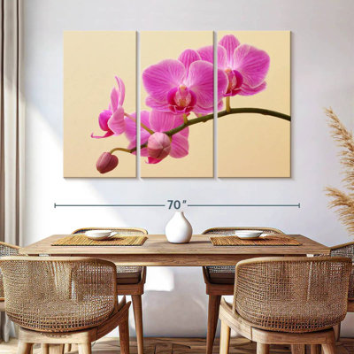 Harnek Orchid Blooms And Buds