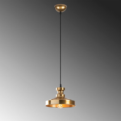 Luminaire suspendu en dome à 1 lumière