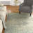 Waldon Viscose Oriental Indoor Rug-617508369