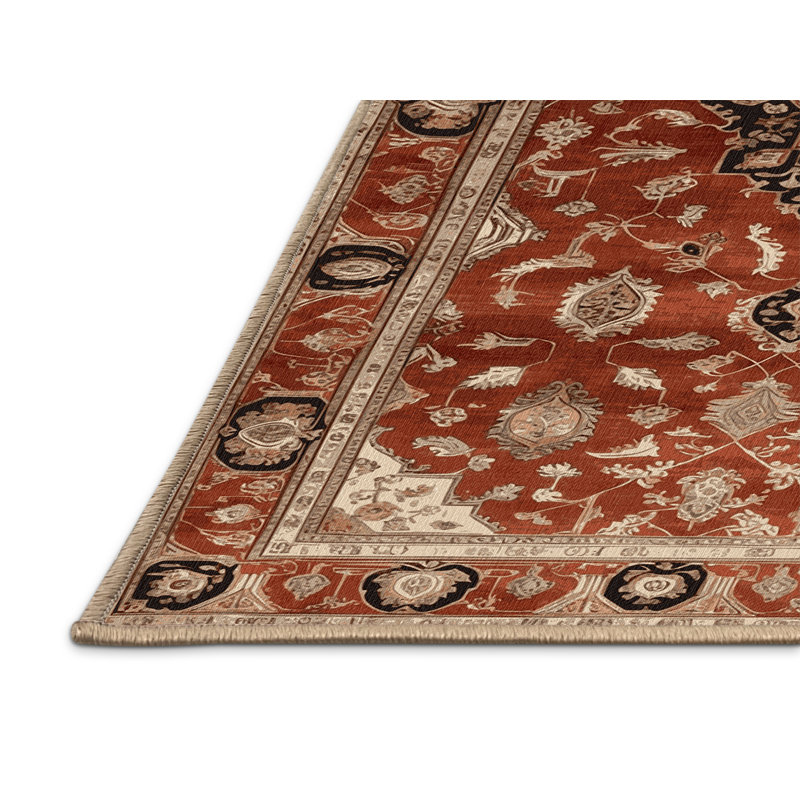 Machine Washable Turkish Brown Area Rug, Runner 2' x 4'