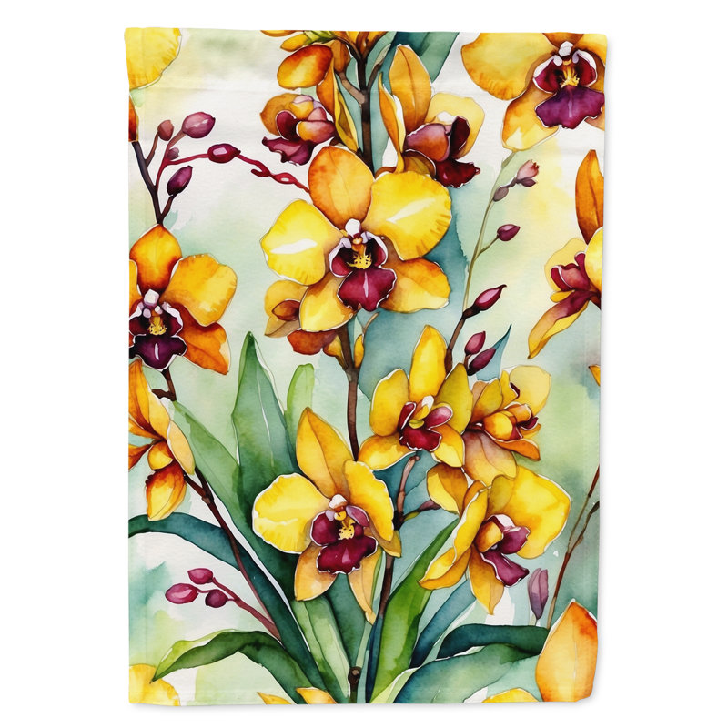 Orchidées paphiopedilum, drapeau du jardin, Orchidées Oncidium