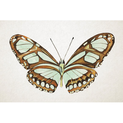 Mint Butterfly I by Annie Warren - Wrapped Canvas Painting