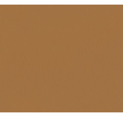 Elan Buckskin Sample