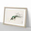 Eastern Turtle Dove by Numata Kashu - Picture Frame Painting Print-55732564-55732568