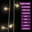 LED Twinkle Indoor / Outdoor String Lights-1030362735
