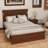 Queen Size Bed With Tall-Panel Headboard & Footboard, 2 Storage Drawers, Built-In LED Lights, USB Charging Station, Pinewood Bed With Strengthened Bed Frame,Walnut-465450650-465450652