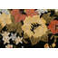 Tapis oriental en laine et soie à motif végétal noué à la main 5 pi 9 po x 8 pi 2 po