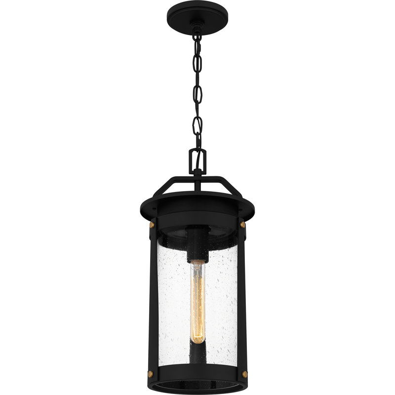 Lanterne suspendue d'extérieur à 1 ampoule noire H 18,75 po Arvik