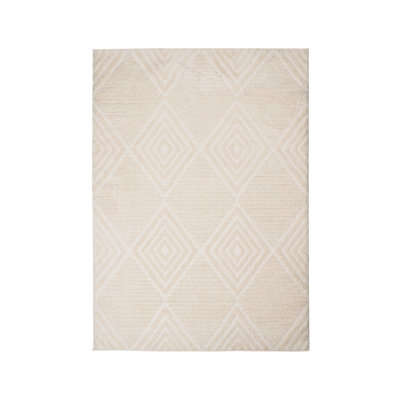 Roehit Machine Tufted Area Rug
