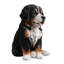 Animals Weather Resistant Polyresin Garden Statue
