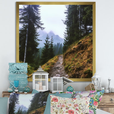 " Mountain Hiking In Summer I "
