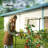  6x3x1 ft Raised Garden Bed with Wall Trellis Galvanized Steel Metal Planter Garden Box Outdoor for Gardening Climbing Vegetables Flowers Silver-1767674788