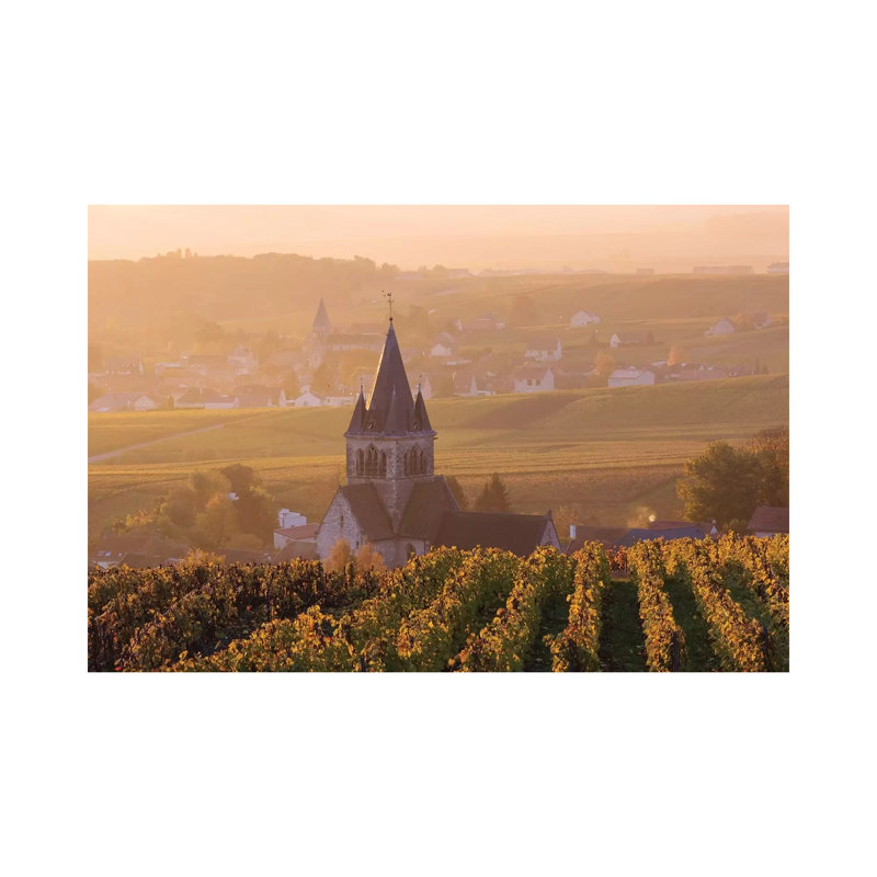 Ville Dommange Vineyards, Champagne, France 1 Piece Wrapped Canvas Wall Art, 101.6 cm H x 66.04 cm W x 1.91 cm D
