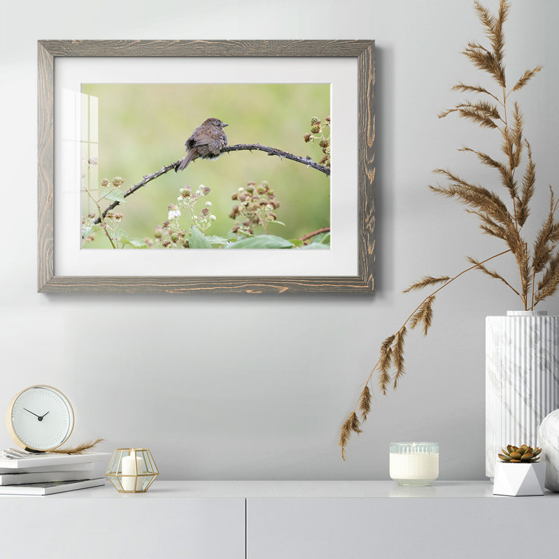 " Resting Sparrow ", H 18 po x l 26 po x P 1,5 po, Gris