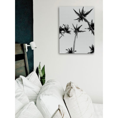 Palm Trees " Palm Trees and 80 Degrees " Black and White Photography Print