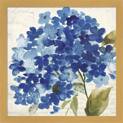 Hampton Hydrangea II par Asia Jensen, art mural encadré