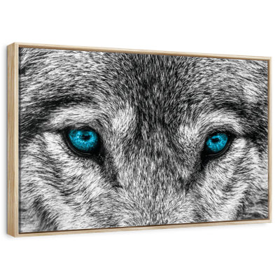 Loup frais