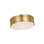 Chapman & Myers 1 - Light LED Flush Mount