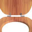 Soft Close Elongated Hard Toilet Seat