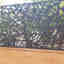 Photos des clients 2 de 2