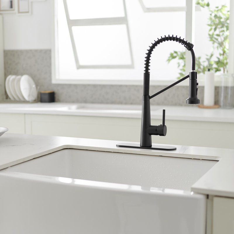 Pull Down Single Handle Kitchen Faucet with Accessories, Matte Black