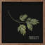 Parsley-993179948